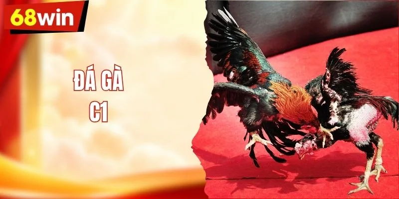 Đá Gà C1 - Cách Theo Dõi Trận Và Đọc Diễn Biến
